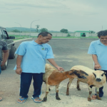 yayasan kembang jenar indonesia sosial